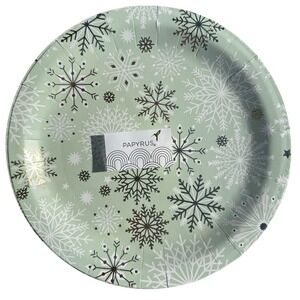 PAPYRUS Winter Sage Snowflake 48 Dinner Plates 10" Paper Disposable Plastic Coat
